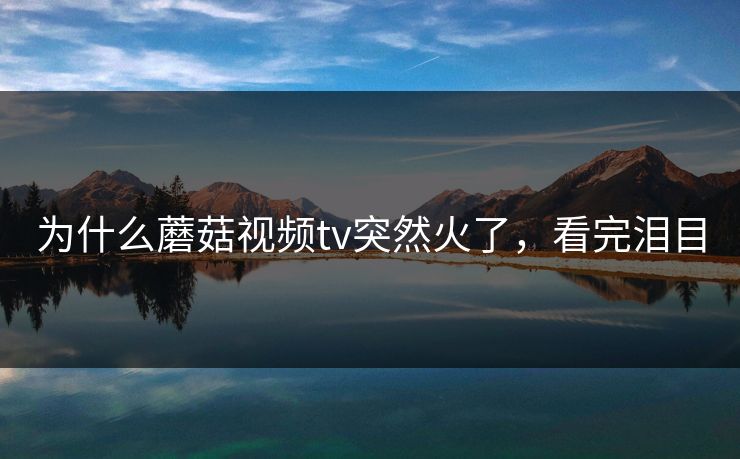 为什么蘑菇视频tv突然火了，看完泪目