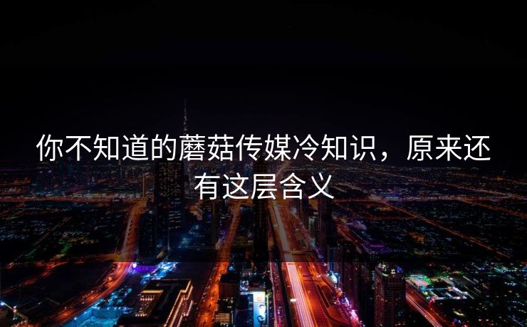 你不知道的蘑菇传媒冷知识，原来还有这层含义