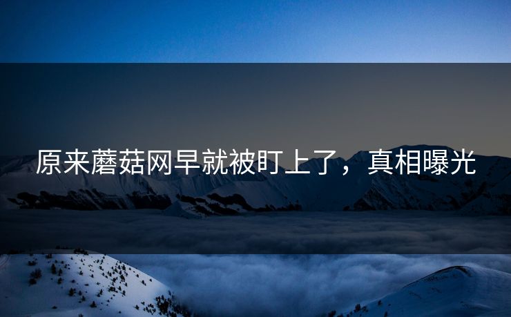 原来蘑菇网早就被盯上了，真相曝光