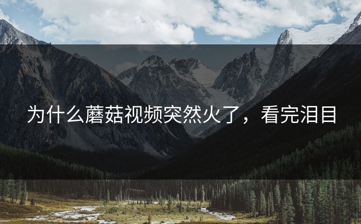 为什么蘑菇视频突然火了，看完泪目
