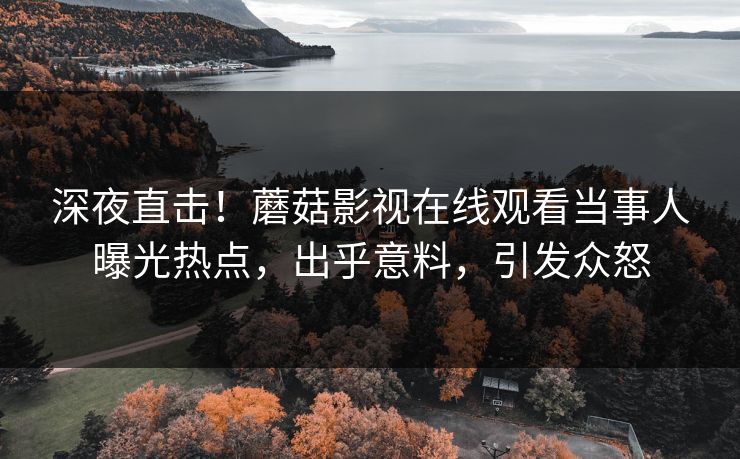 深夜直击！蘑菇影视在线观看当事人曝光热点，出乎意料，引发众怒