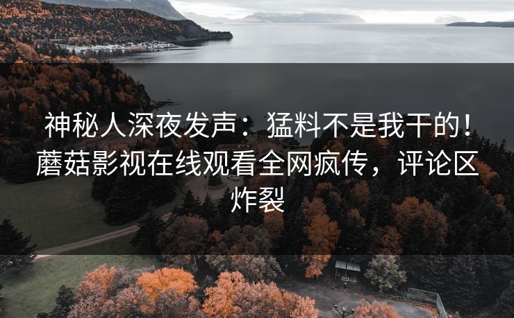 神秘人深夜发声：猛料不是我干的！蘑菇影视在线观看全网疯传，评论区炸裂