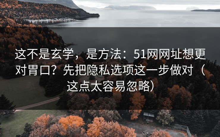 这不是玄学，是方法：51网网址想更对胃口？先把隐私选项这一步做对（这点太容易忽略）